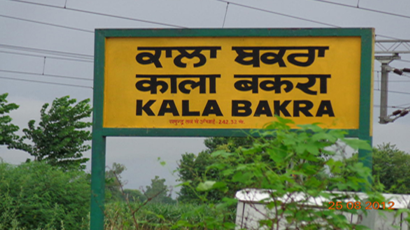 Kala Bakra, Punjab