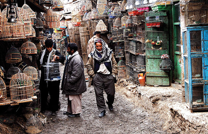 Ka Faroshi Bird Market