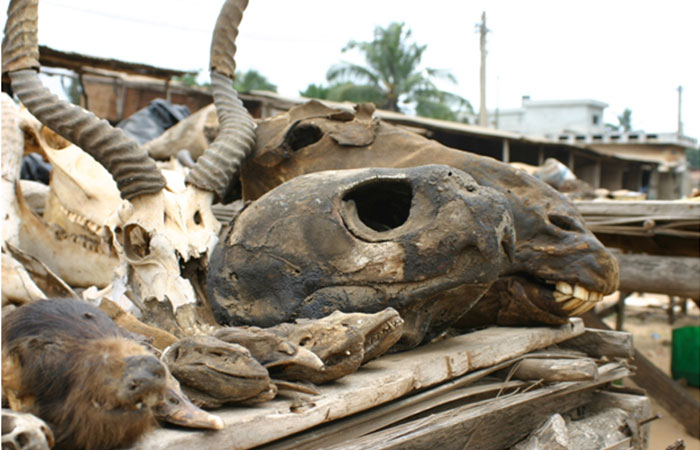 Akodessewa Fetish Market 