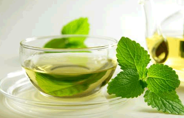 Mint Blend Herbal Tea