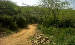 sanjay van delhi