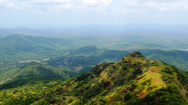 Amboli