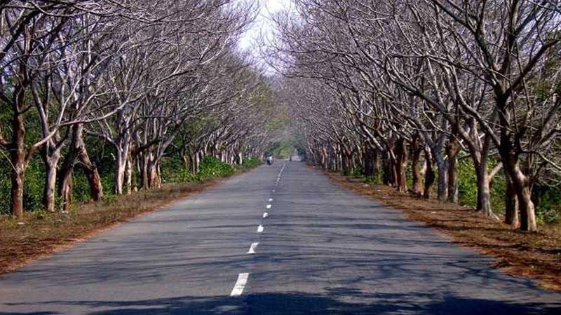 Puri to Konark