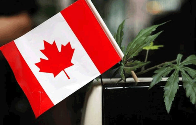 Restoration of cannabis in Canada, Can India do the same?