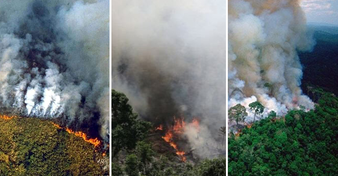 Amazon Rainforest is on fire for weeks now!