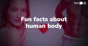 Fun Facts About the Human Body