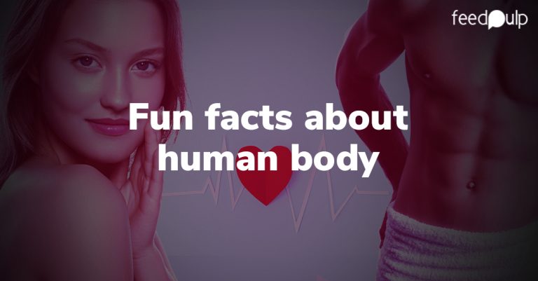 Some Fun Facts About the Human Body