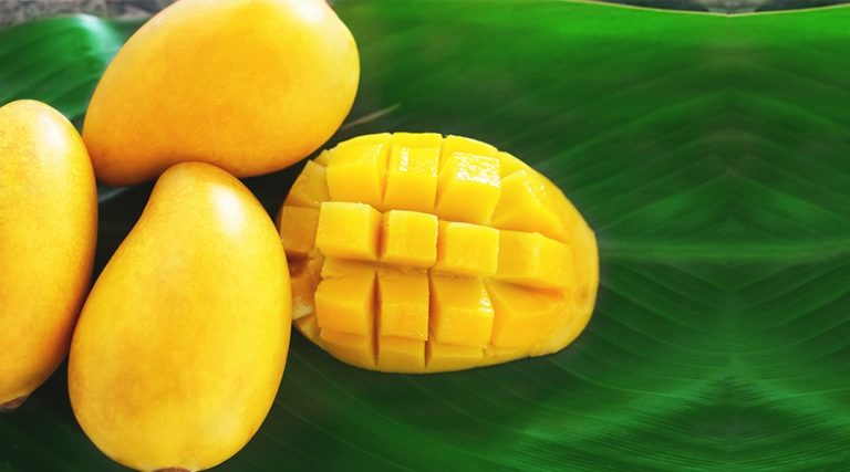 From Weight Loss to Boosting Your Immunity, Here’s why you should include Mango in your daily diet