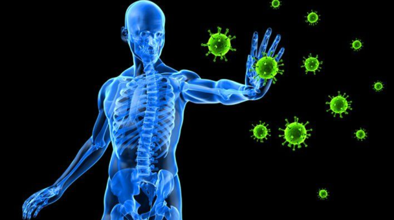 What All You Should Eat to Boost your Immune System