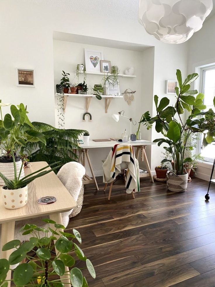 The Best House Plants for Every Room: A Green Oasis at Home