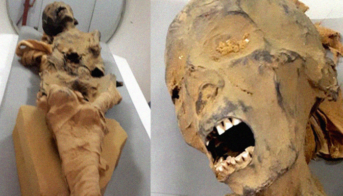 "Screaming Woman" Mummy: The Mystery Explained!