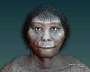 Homo Floresiensis Hobbit Ancestor on Flores Island