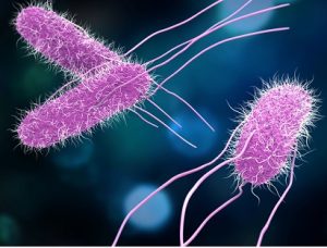 The Growing Threat of Antimicrobial Resistance and Impact