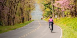 Top 10 National Parks for Cycling in the United States