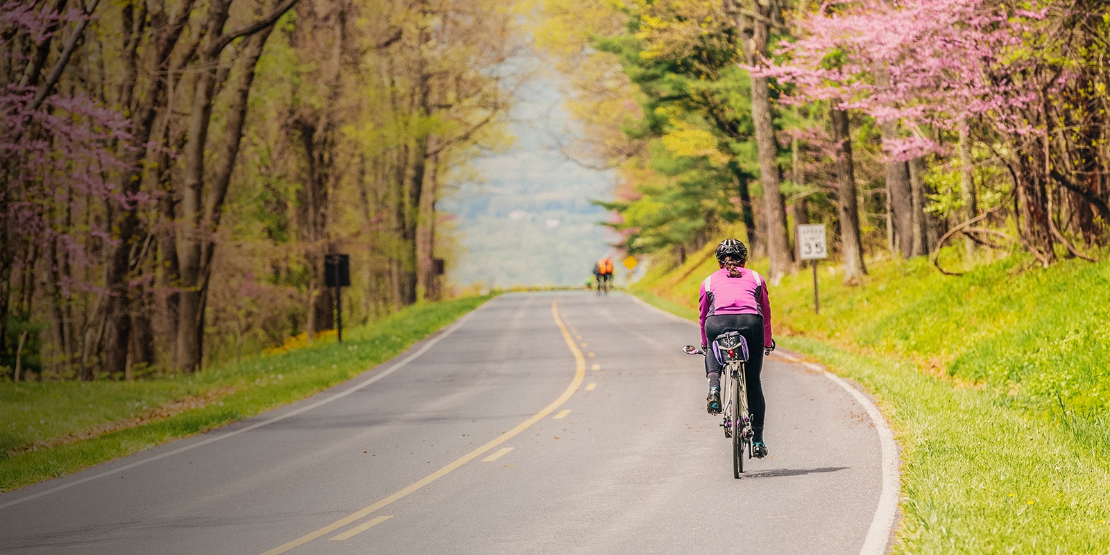 Top 10 National Parks for Cycling in the United States