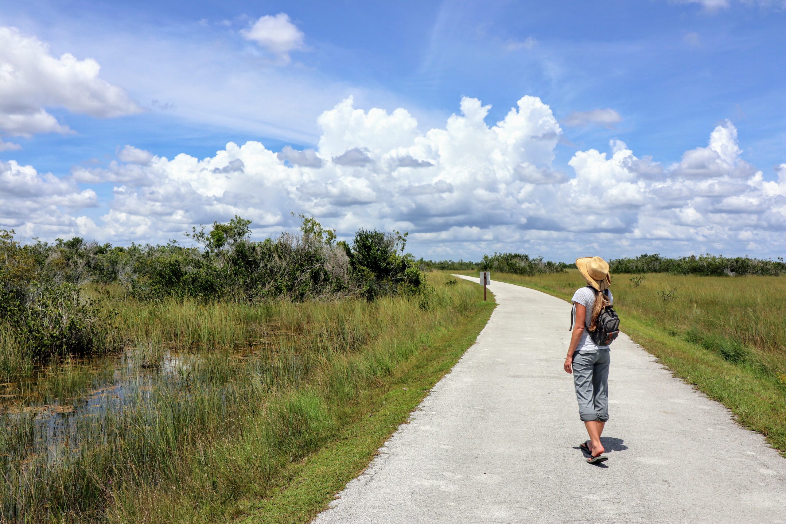 Top 10 National Parks for Cycling in the United States
