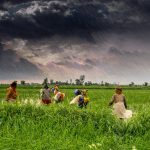 The Role of Monsoon in Indian Agriculture and Rural Life
